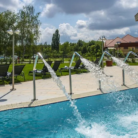 ホテル Balneo Zsori Thermal & Wellness 4*